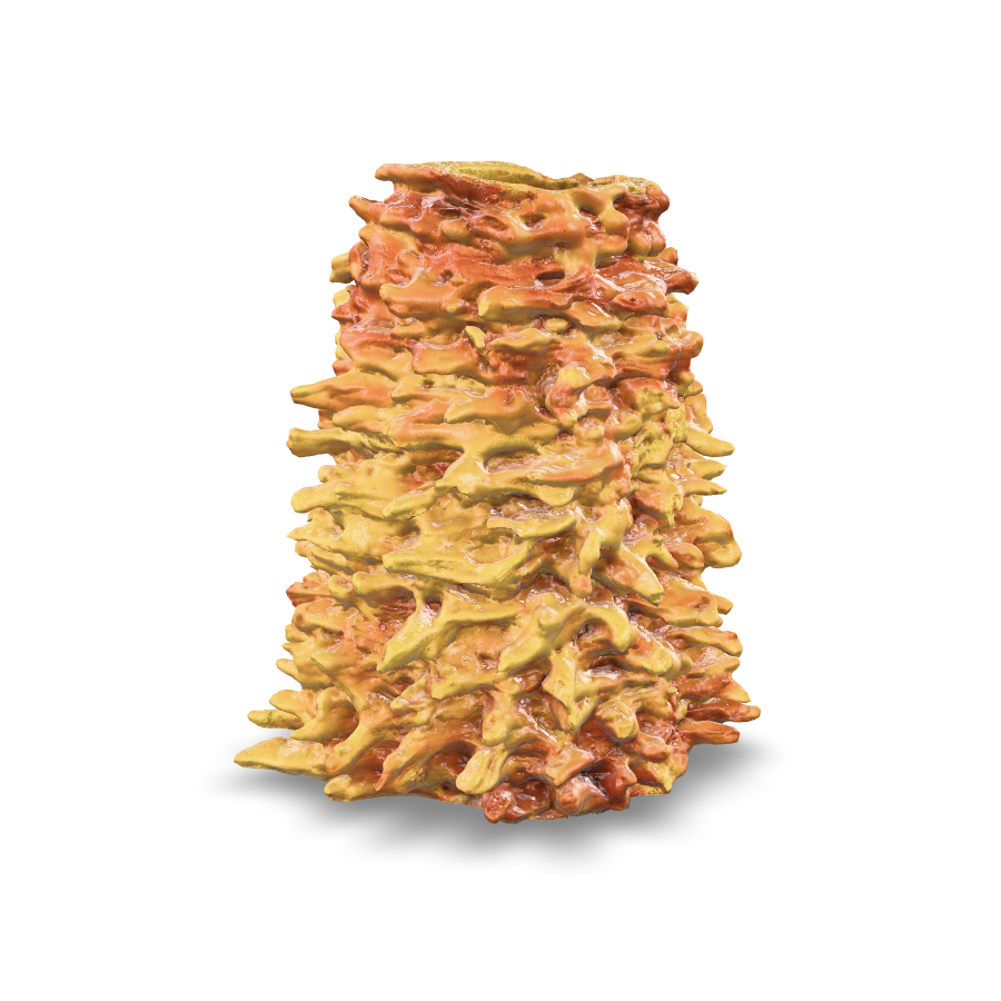 Tree cakes