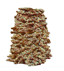 Vidutinis šakotis aplietas šokoladu, pabarstukais ir kokoso drožlėm