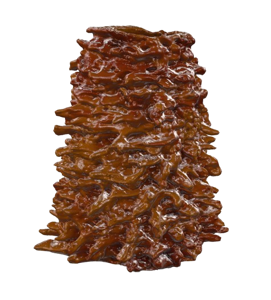 Vidutinis šakotis aplietas šokoladu