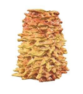 Vidutinis šakotis su pabarstukais